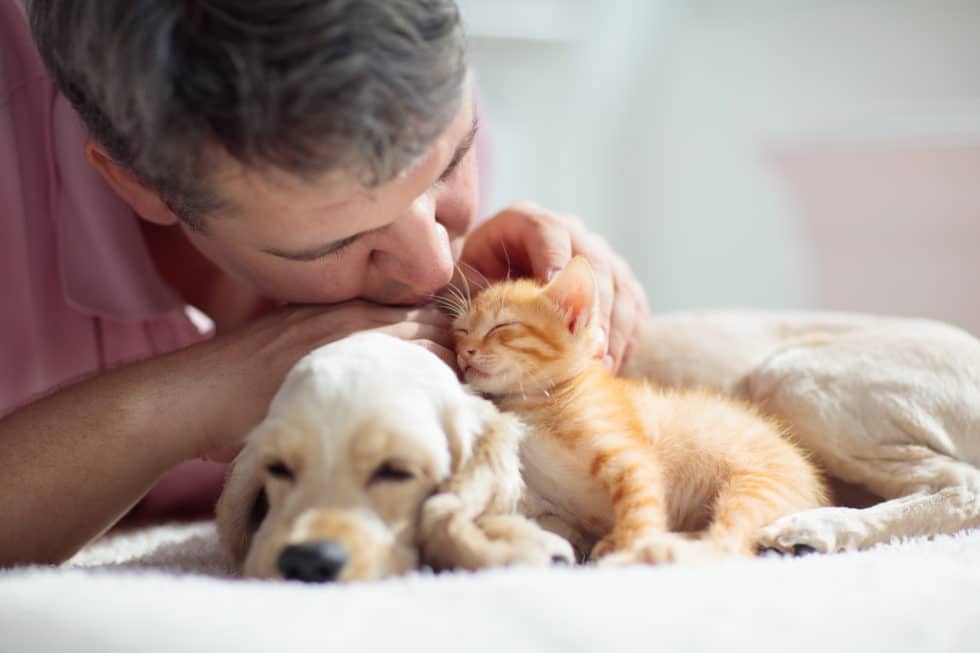 Cat,And,Dog,Sleeping,Together,Next,To,A,Man.,Kitten